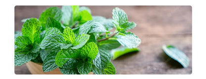 a089cc49f416f9b38a10db6b4c174c69